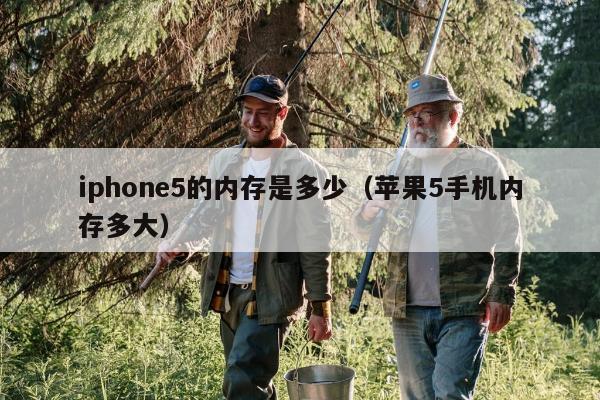 iphone5的内存是多少（苹果5手机内存多大）