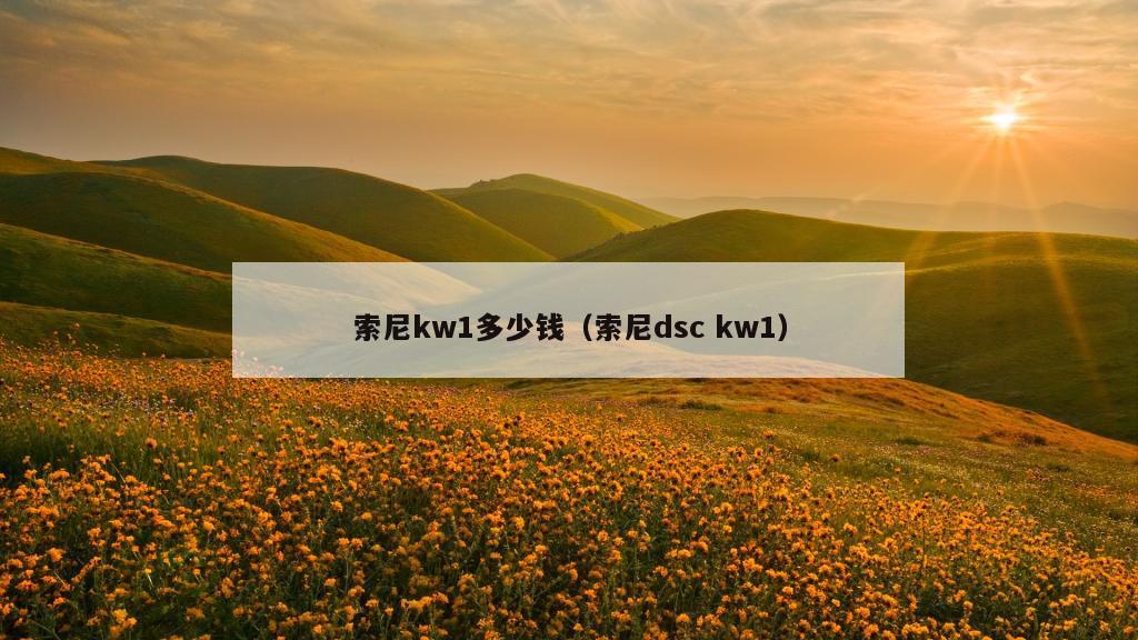 索尼kw1多少钱（索尼dsc kw1）