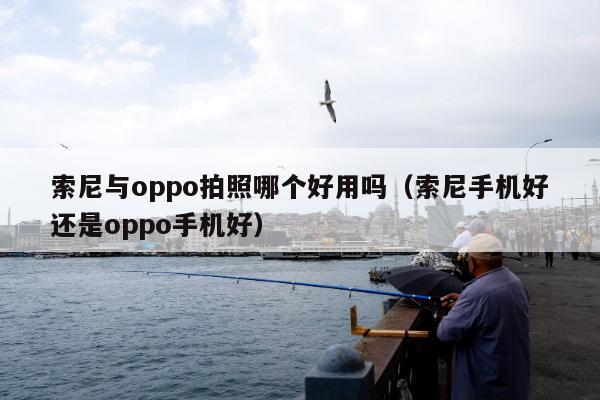 索尼与oppo拍照哪个好用吗（索尼手机好还是oppo手机好）