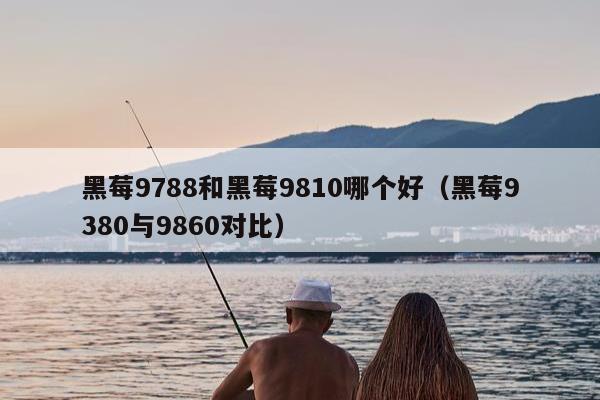 黑莓9788和黑莓9810哪个好（黑莓9380与9860对比）