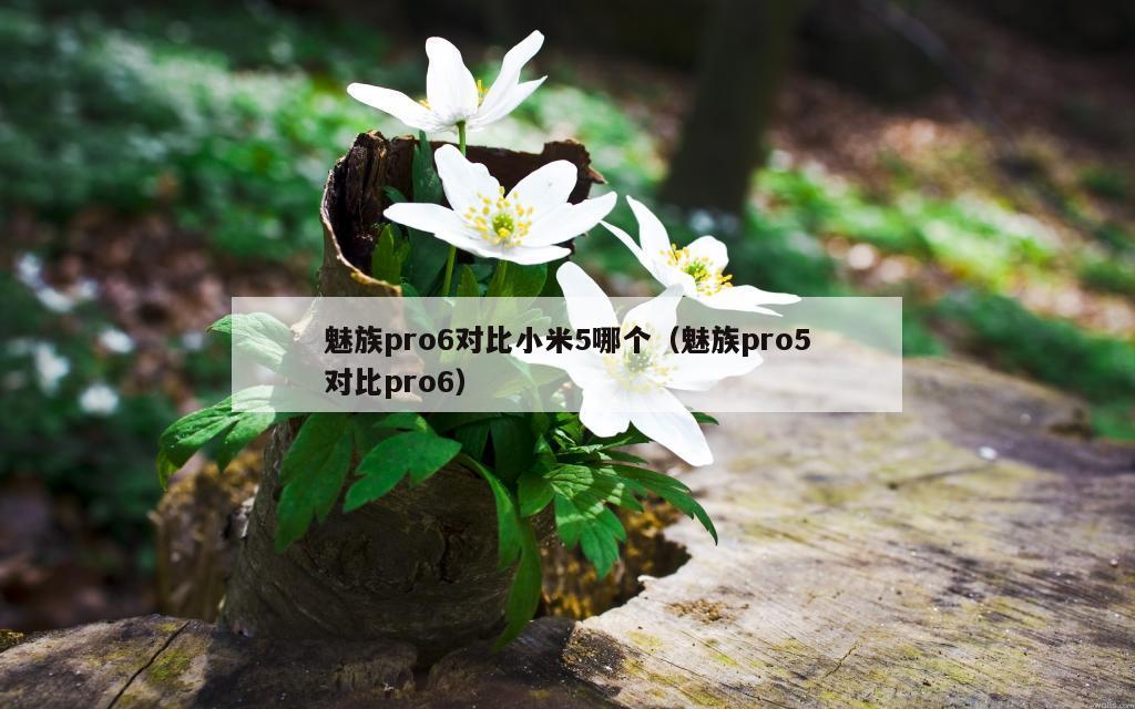 魅族pro6对比小米5哪个（魅族pro5对比pro6）