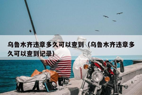 乌鲁木齐违章多久可以查到（乌鲁木齐违章多久可以查到记录）