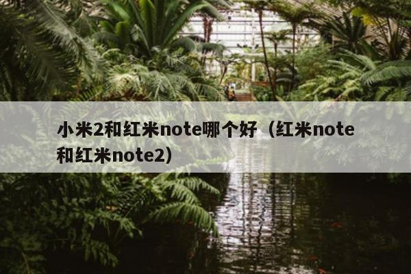 小米2和红米note哪个好（红米note和红米note2）