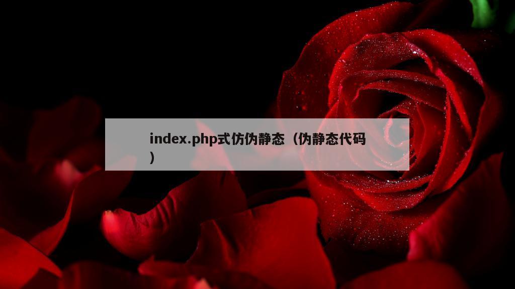 index.php式仿伪静态（伪静态代码）