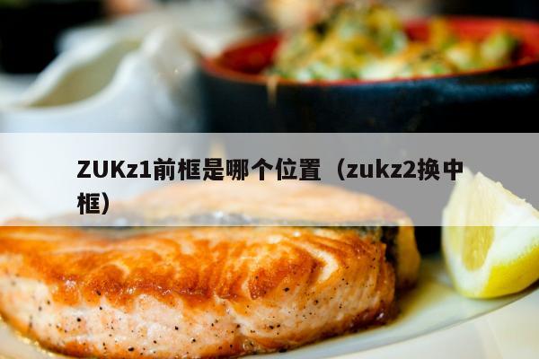 ZUKz1前框是哪个位置（zukz2换中框）