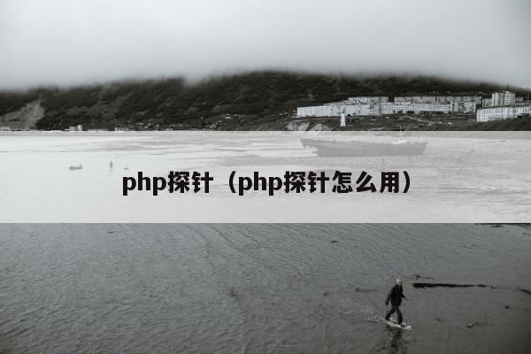 php探针（php探针怎么用）