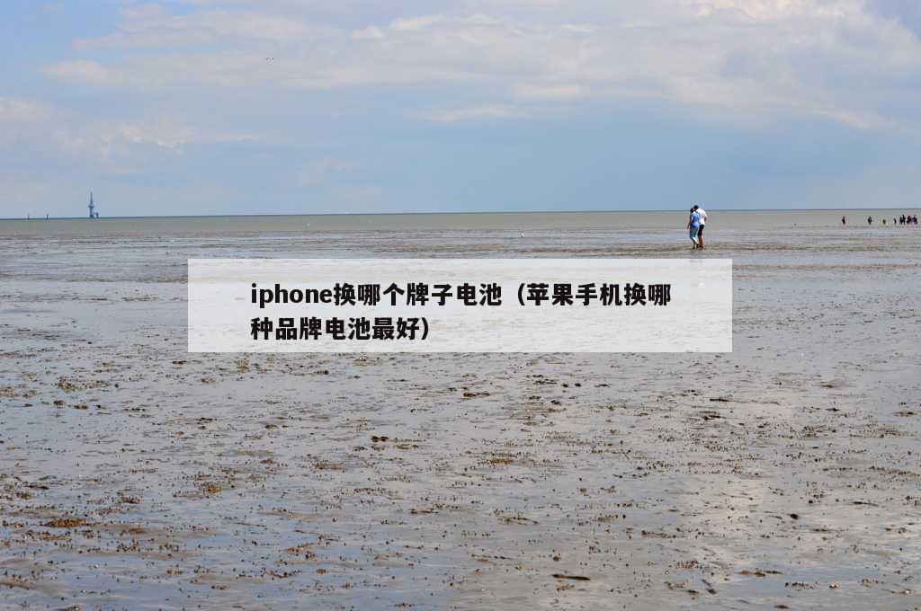 iphone换哪个牌子电池（苹果手机换哪种品牌电池最好）