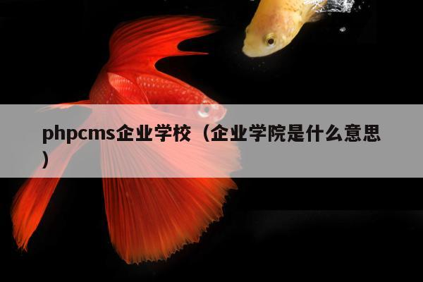 phpcms企业学校（企业学院是什么意思）