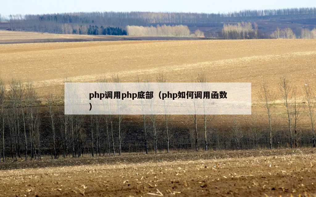 php调用php底部（php如何调用函数）