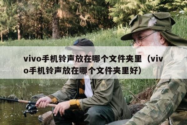 vivo手机铃声放在哪个文件夹里（vivo手机铃声放在哪个文件夹里好）