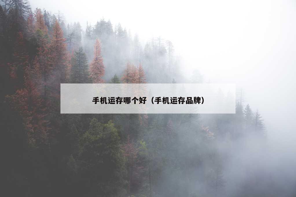 手机运存哪个好（手机运存品牌）