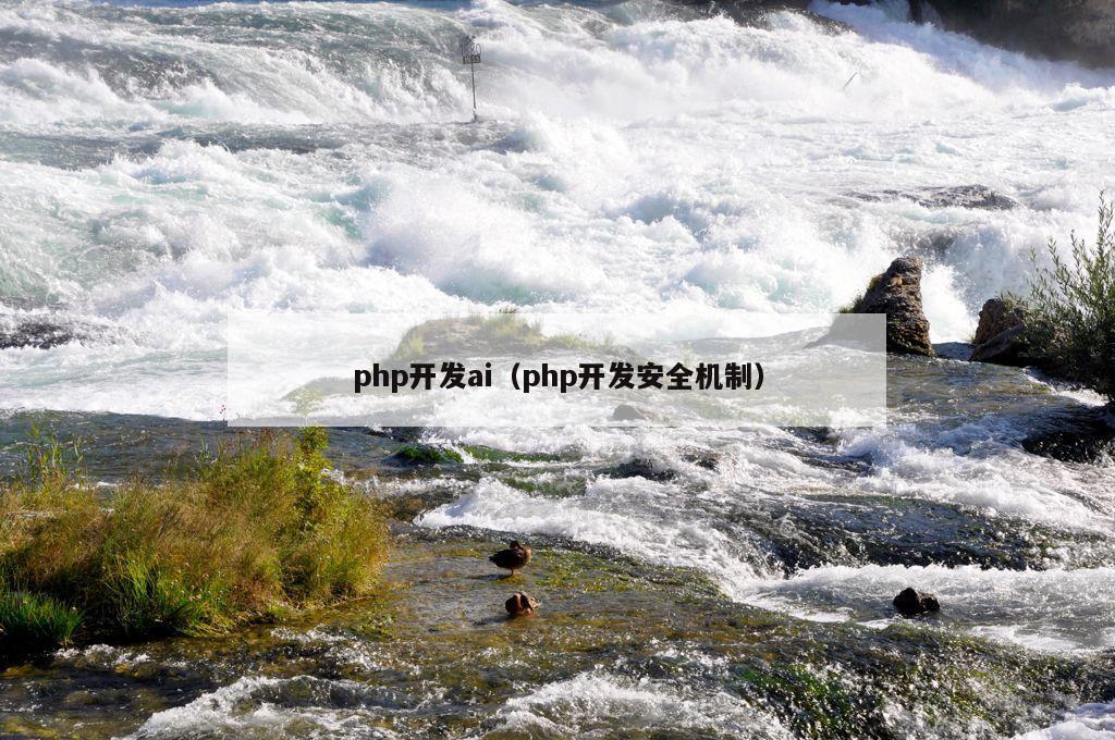 php开发ai（php开发安全机制）