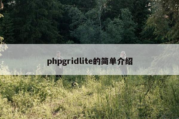 phpgridlite的简单介绍