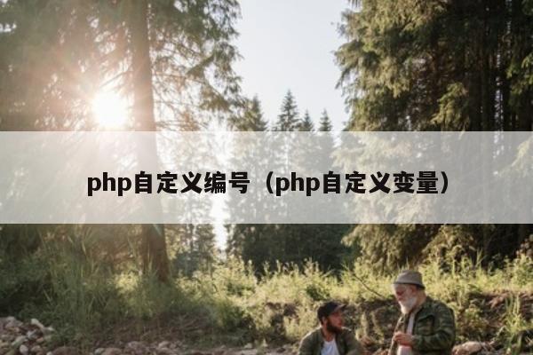 php自定义编号（php自定义变量）