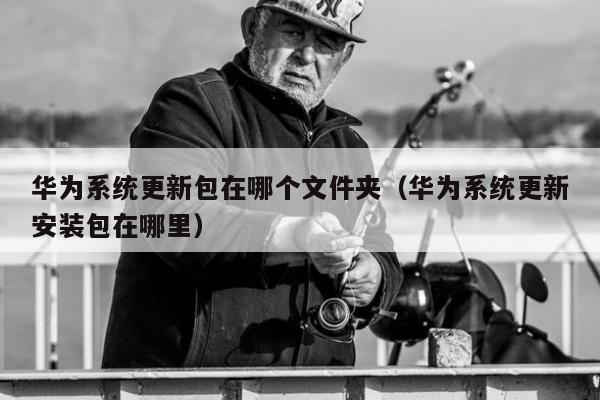 华为系统更新包在哪个文件夹（华为系统更新安装包在哪里）