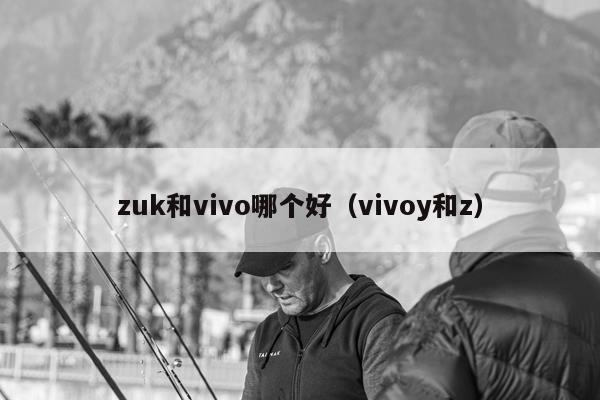 zuk和vivo哪个好（vivoy和z）