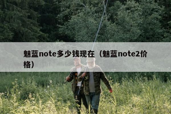 魅蓝note多少钱现在（魅蓝note2价格）