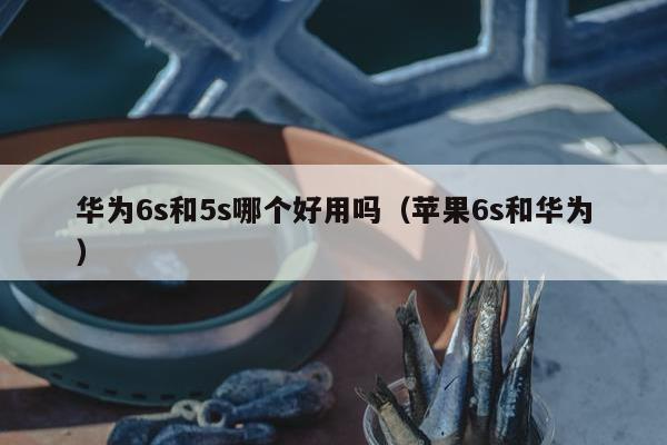 华为6s和5s哪个好用吗（苹果6s和华为）