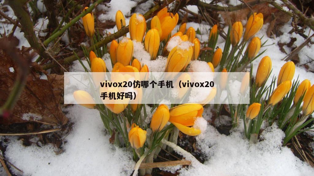 vivox20仿哪个手机（vivox20手机好吗）