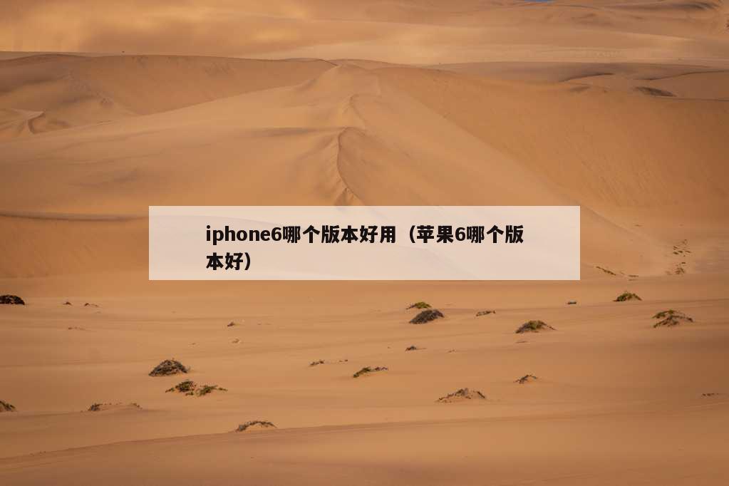 iphone6哪个版本好用（苹果6哪个版本好）