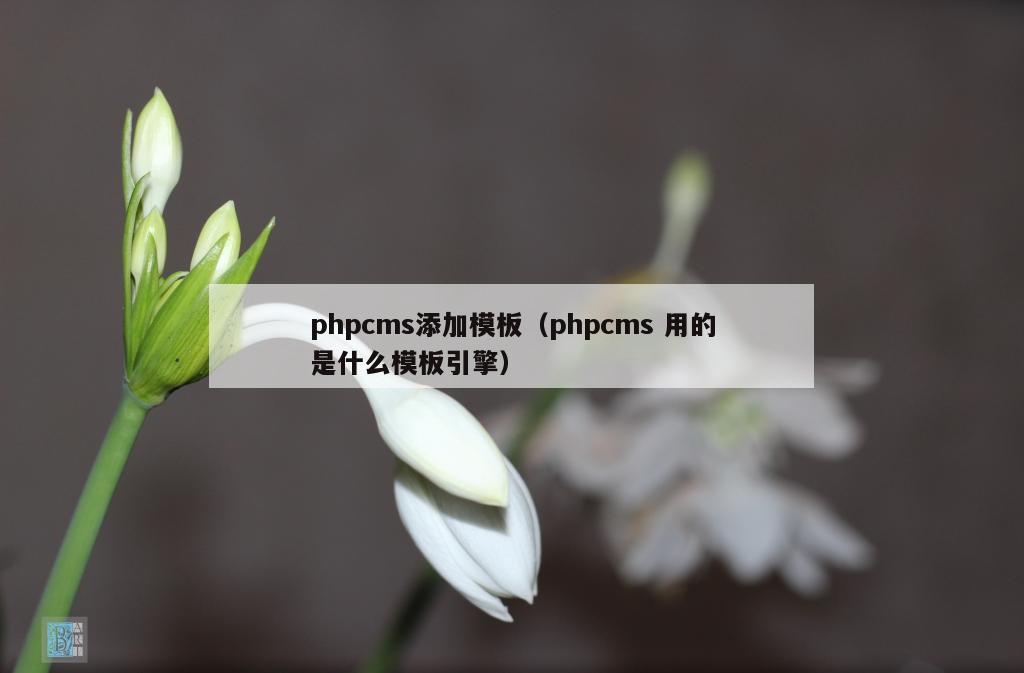 phpcms添加模板（phpcms 用的是什么模板引擎）