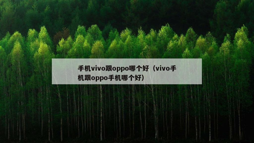 手机vivo跟oppo哪个好（vivo手机跟oppo手机哪个好）