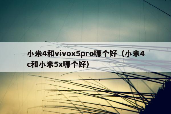 小米4和vivox5pro哪个好（小米4c和小米5x哪个好）