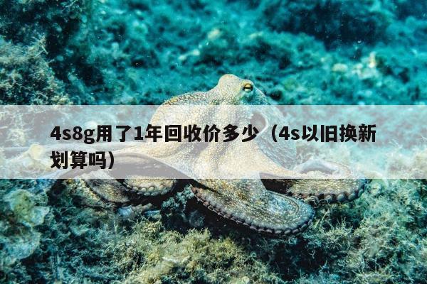 4s8g用了1年回收价多少（4s以旧换新划算吗）