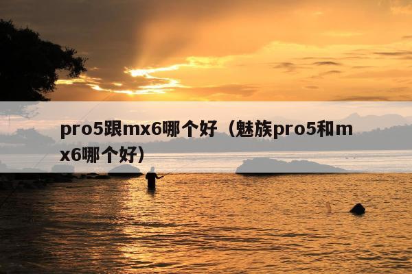 pro5跟mx6哪个好（魅族pro5和mx6哪个好）