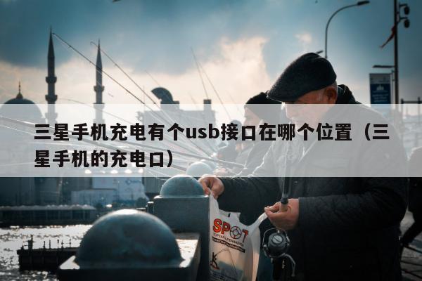 三星手机充电有个usb接口在哪个位置（三星手机的充电口）