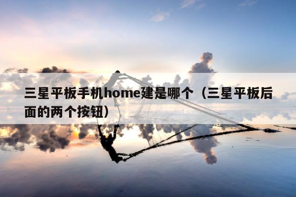 三星平板手机home建是哪个（三星平板后面的两个按钮）