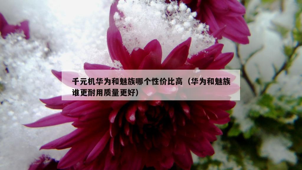 千元机华为和魅族哪个性价比高（华为和魅族谁更耐用质量更好）