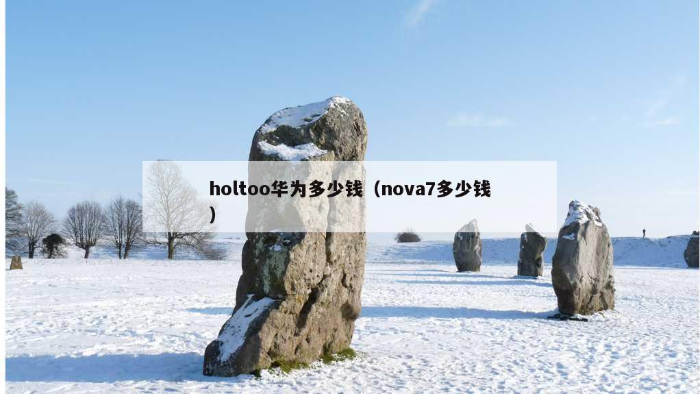 holtoo华为多少钱（nova7多少钱）