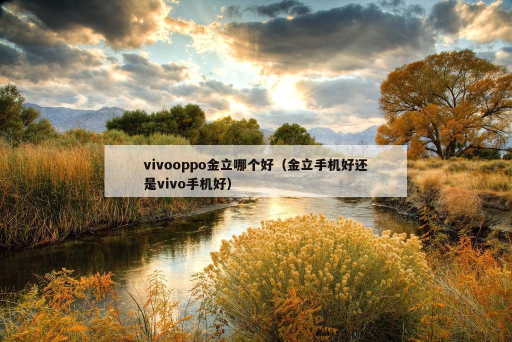 vivooppo金立哪个好（金立手机好还是vivo手机好）