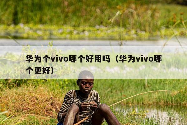 华为个vivo哪个好用吗（华为vivo哪个更好）