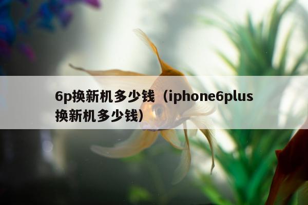 6p换新机多少钱（iphone6plus换新机多少钱）