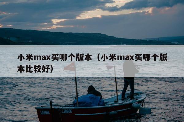 小米max买哪个版本（小米max买哪个版本比较好）