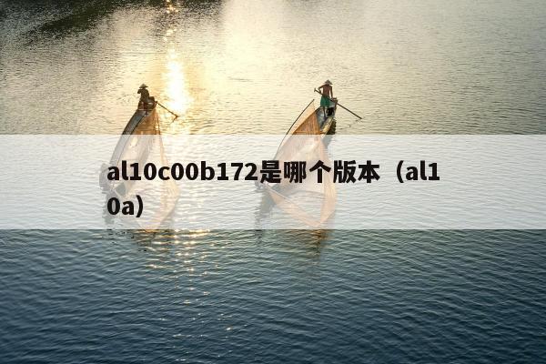 al10c00b172是哪个版本（al10a）