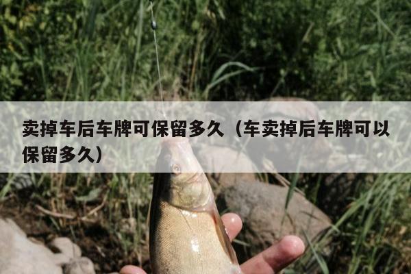 卖掉车后车牌可保留多久（车卖掉后车牌可以保留多久）