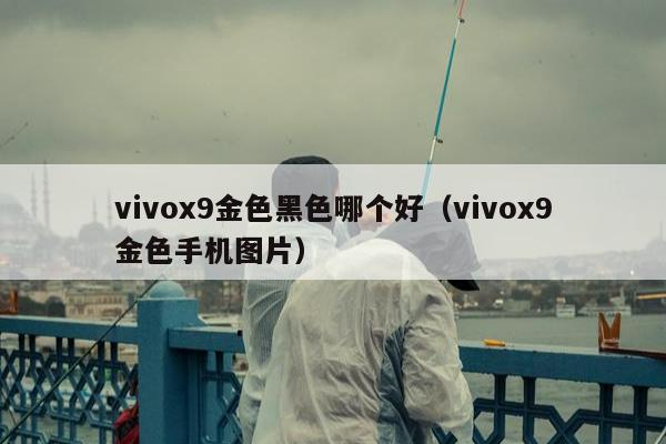 vivox9金色黑色哪个好（vivox9金色手机图片）