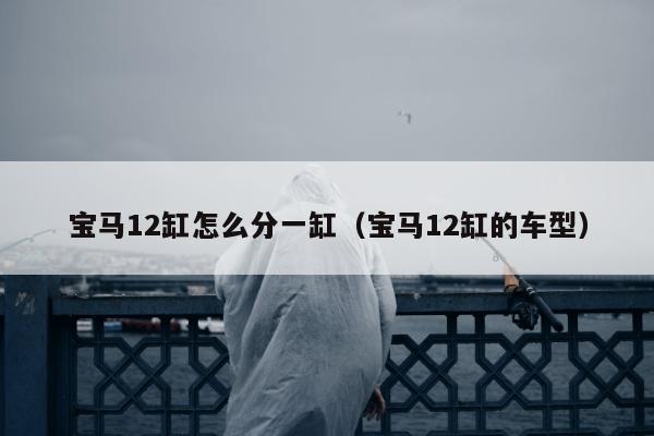 宝马12缸怎么分一缸（宝马12缸的车型）