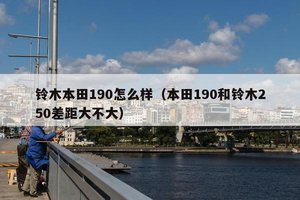 铃木本田190怎么样（本田190和铃木250差距大不大）