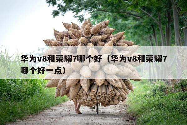 华为v8和荣耀7哪个好（华为v8和荣耀7哪个好一点）