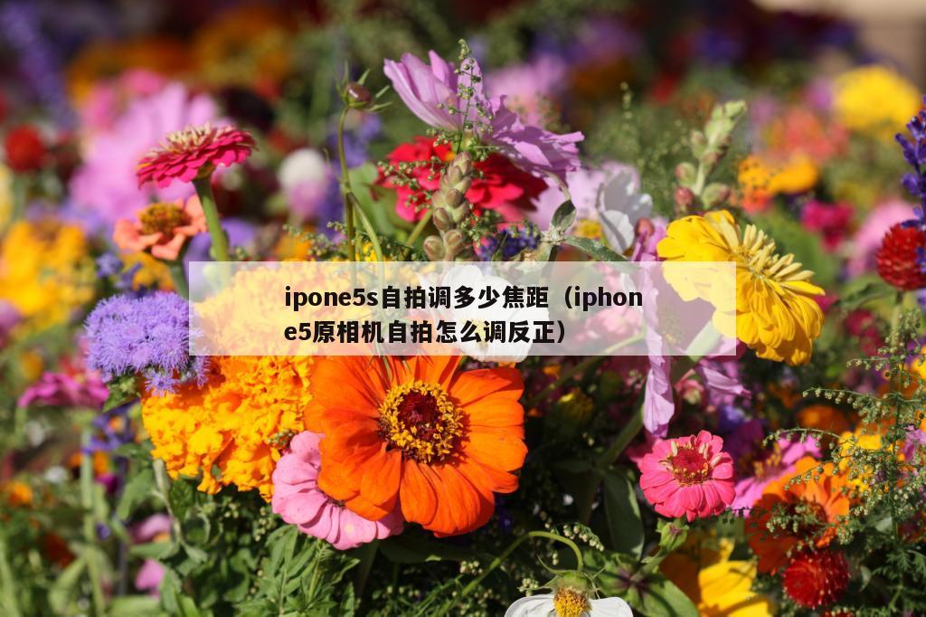 ipone5s自拍调多少焦距（iphone5原相机自拍怎么调反正）