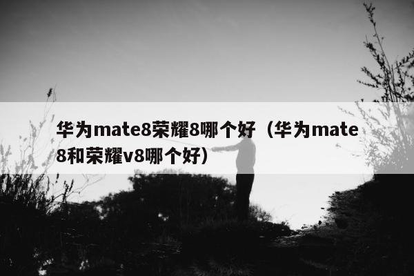 华为mate8荣耀8哪个好（华为mate8和荣耀v8哪个好）