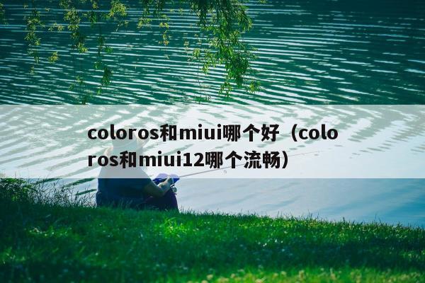 coloros和miui哪个好（coloros和miui12哪个流畅）