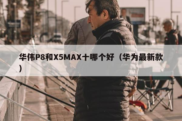 华伟P8和X5MAX十哪个好（华为最新款）