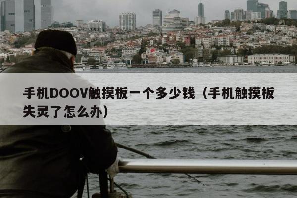 手机DOOV触摸板一个多少钱（手机触摸板失灵了怎么办）