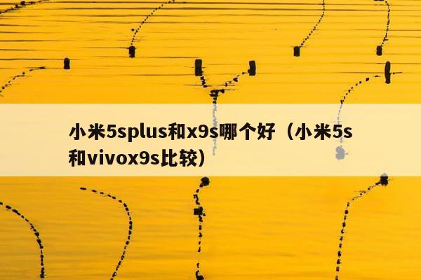 小米5splus和x9s哪个好（小米5s和vivox9s比较）