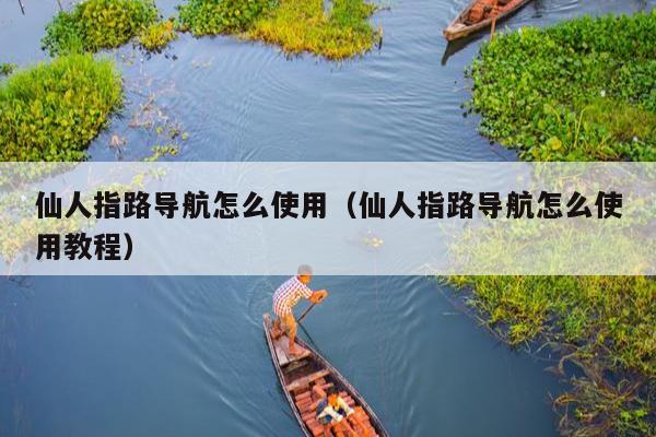 仙人指路导航怎么使用（仙人指路导航怎么使用教程）